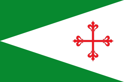 200-bandera-carrion-de-los-cespedes.jpg