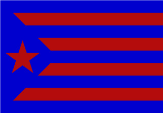 200-bandera-estelada-barsa.jpg