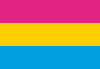 200-bandera-pansexual.jpg